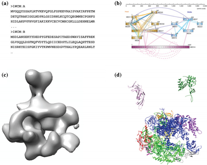 FIGURE 2