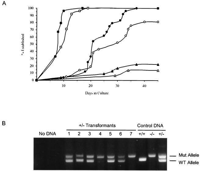 FIG. 6