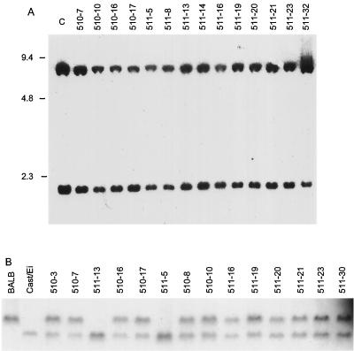 FIG. 5