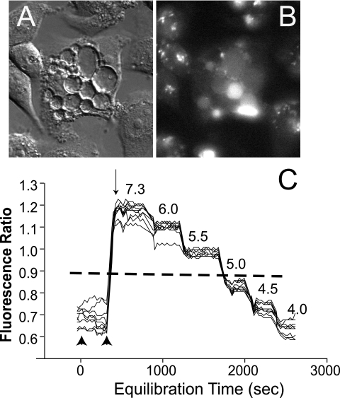 FIG. 3.