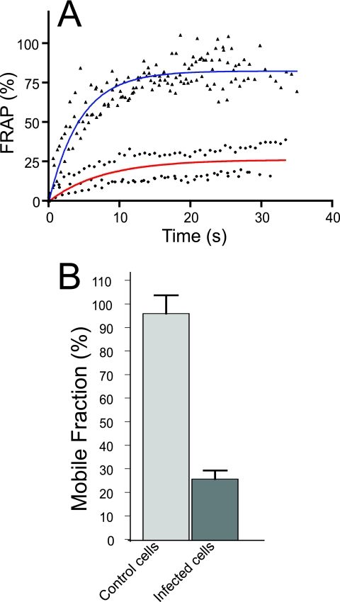 FIG. 9.