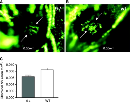 FIG. 3.