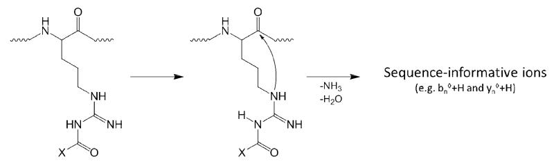 Scheme 3