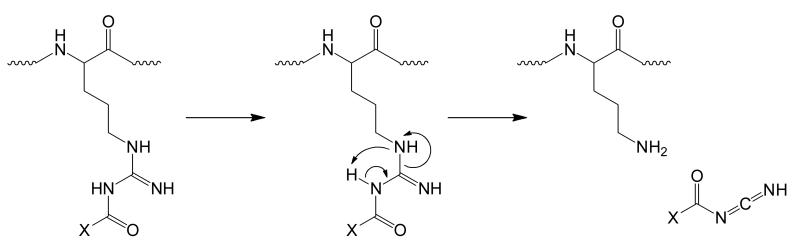 Scheme 2