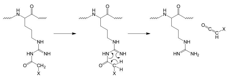 Scheme 4