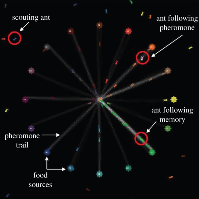 Figure 1.