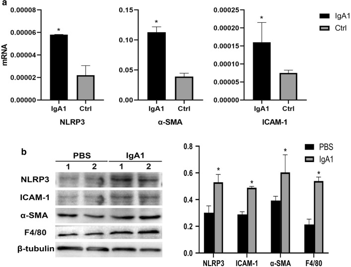 Fig. 6