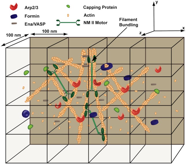 Fig 1