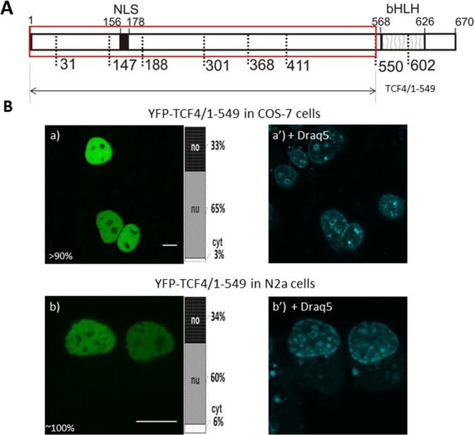 Figure 9