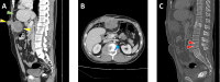 Fig. 3