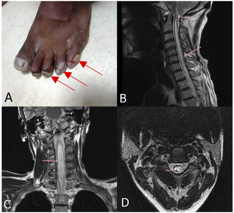 Figure 5.