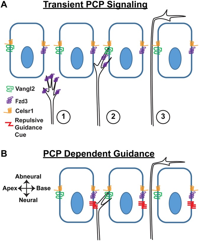 Fig. 8.