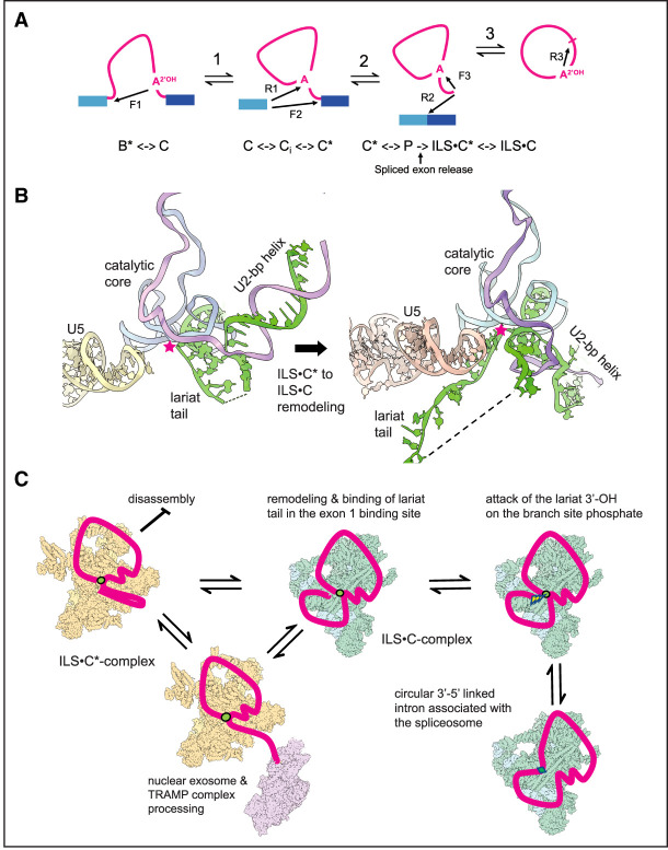 Figure 7.