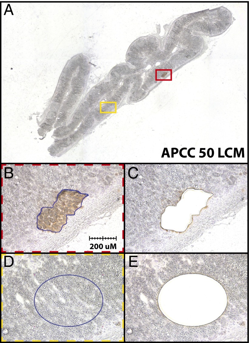 Fig. 4.