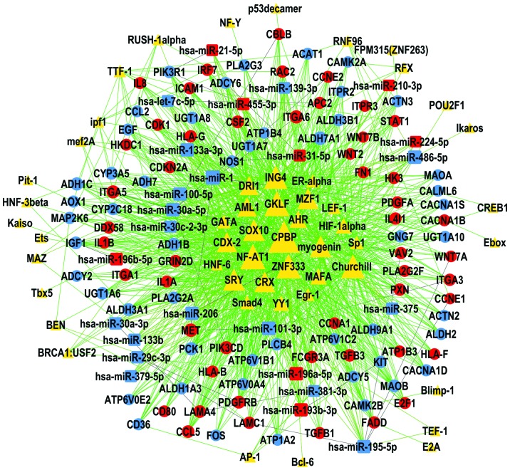 Figure 4