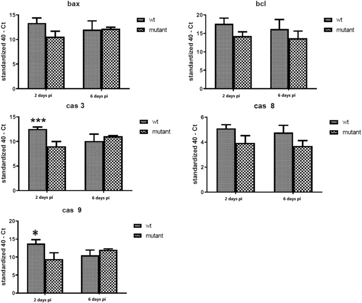 Figure 7