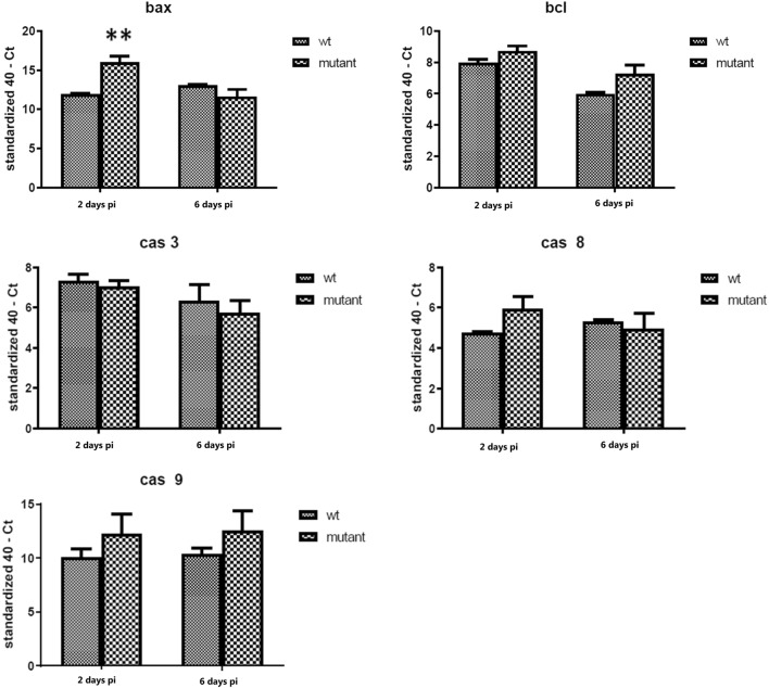 Figure 6