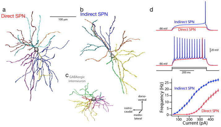 FIGURE 2