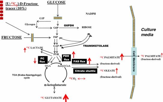 Fig. 6