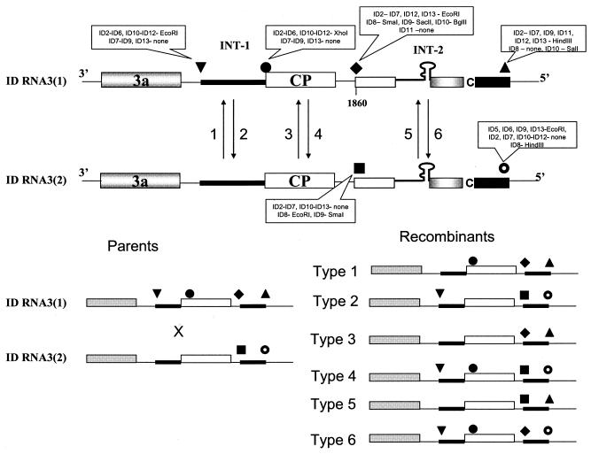 FIG. 2.