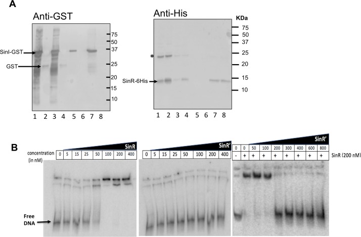 Fig 8