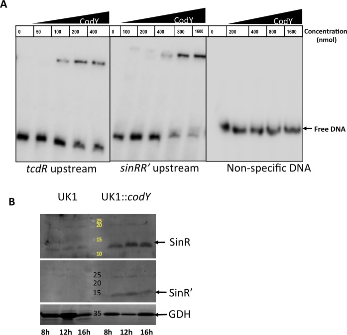 Fig 9