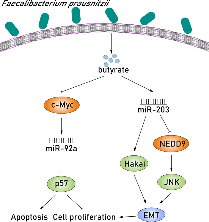 Figure 5