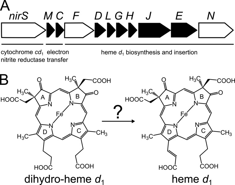 FIGURE 1.