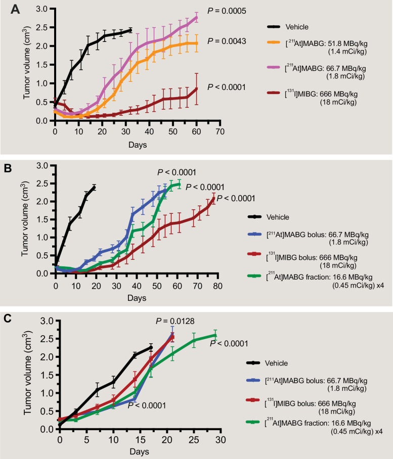 Figure 3. [211At]MABG shows efficacy in murine models of neuroblastoma. A, Mice bearing SK-N-SHNET/GFP/LUC xenografts (CDX) tumors of about 0.2 cm3 in size at the time of enrollment were randomized (n = 10/arm) to the following treatment arms administered intravenously: Vehicle, [211At]MABG bolus at 51.8 MBq/kg (1.4 mCi/kg), [211At]MABG bolus at 66.7 MBq/kg (1.8 mCi/kg) and [131I]MIBG bolus at 18 mCi/kg (666 MBq/kg). B, Subsequently, the COG-N-453x (PDX) model was treated intraperitoneally with MTDs either as bolus dose 66.7 MBq/kg (1.8 mCi/kg) or 16.6 MBq/kg (0.45 mCi/kg) × 4 in equal fractionated doses of [211At]MABG over 11 days or with [131I]MIBG at 666 MBq/kg (18 mCi/kg). Linear mixed-effects analysis showed that there was a significant tumor growth delay in the COG-N-453x PDX models treated with [211At]MABG fractionated doses (n = 10) and [211At]MABG (n = 10) bolus doses when compared with the vehicle (n = 10) group. [131I]MIBG arm showed significant tumor growth delay in this model (n = 10). C, In addition, Felix (PDX) model was treated with [211At]MABG intraperitoneally at 66.7 MBq/kg (1.8 mCi/kg) given as a bolus or 16.6 MBq/kg (0.45 mCi/kg) × 4 fractionated doses over 11 days or with [131I]MIBG at 666 MBq/kg (18 mCi/kg). Tumor growth delay was also seen in the Felix PDX model with both [211At]MABG bolus (n = 10) and fractionated dosing (n = 5) and in the [131I]MIBG treated arm (n = 10) when compared with vehicle (n = 10) arm.