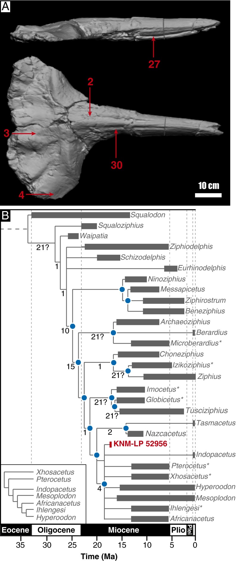 Fig. 2.