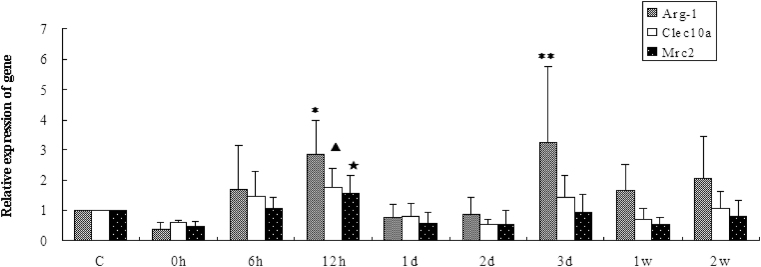 Fig. 4