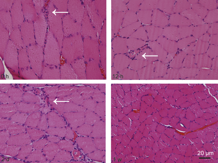 Fig. 7