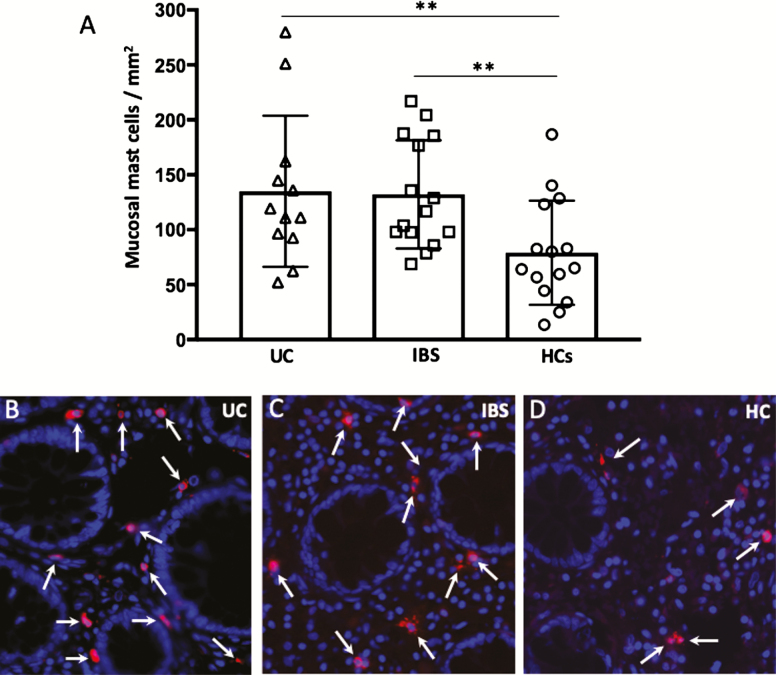 FIGURE 4.