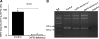<b>FIG. 1.</b>