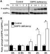 <b>FIG. 8.</b>