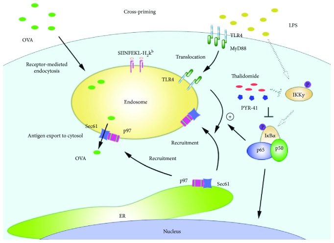 Figure 10