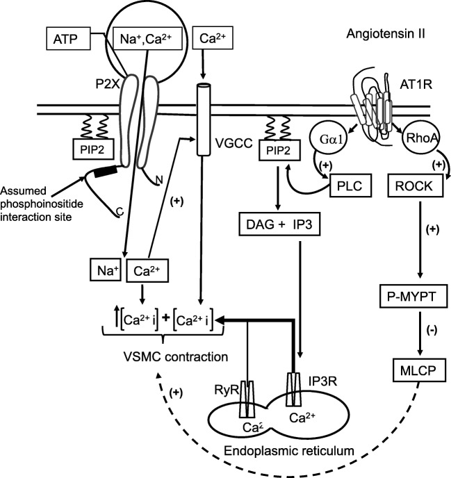 Fig. 3