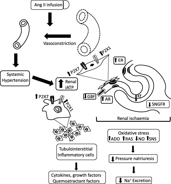 Fig. 2