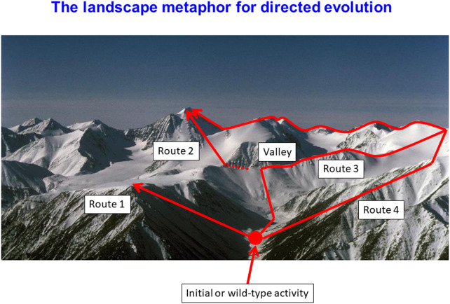 Figure 4.