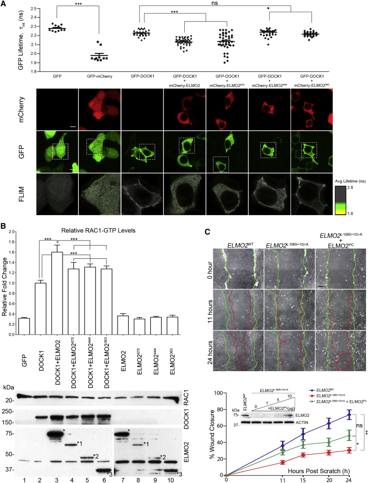 Figure 3