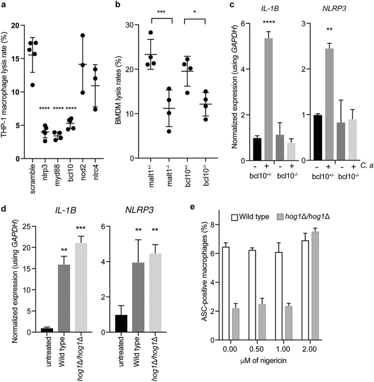 FIG 6 