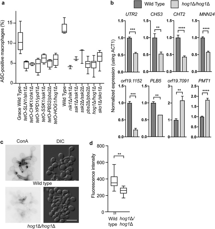 FIG 4 