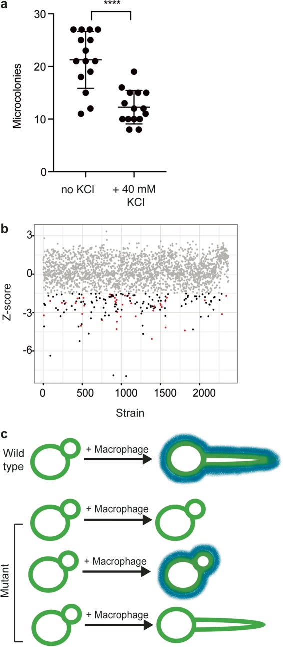 FIG 1 