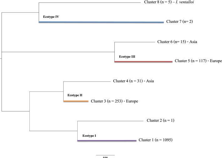 Fig. 1