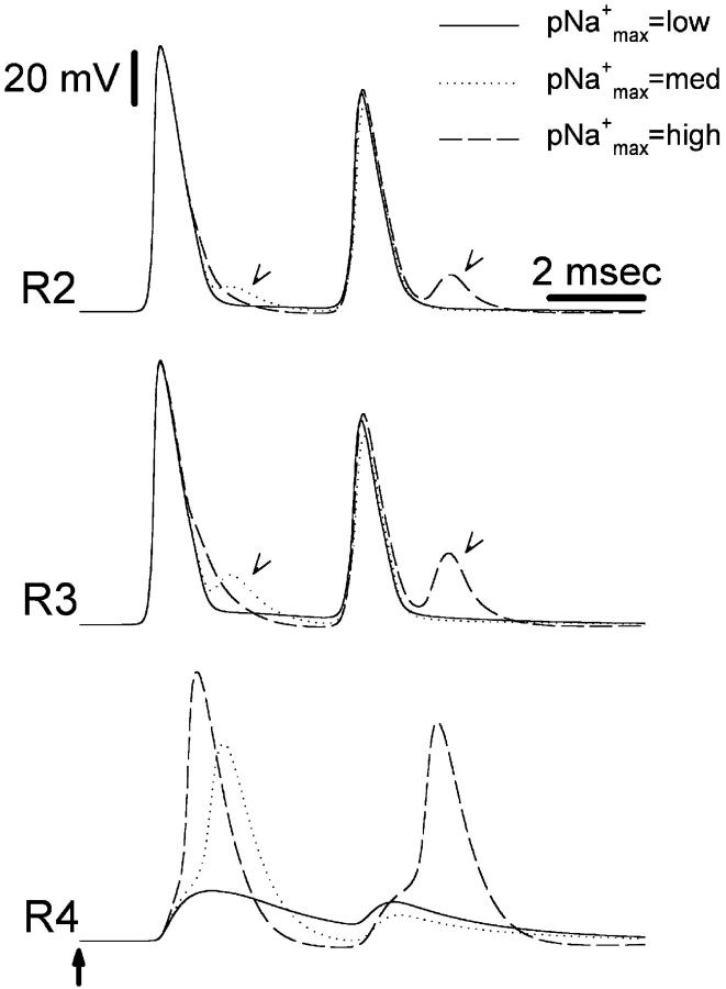 FIGURE 4