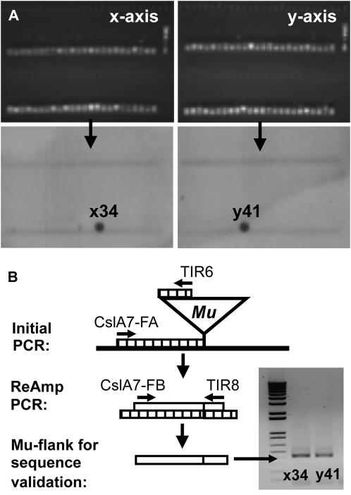 Figure 9.