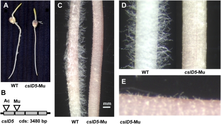 Figure 10.