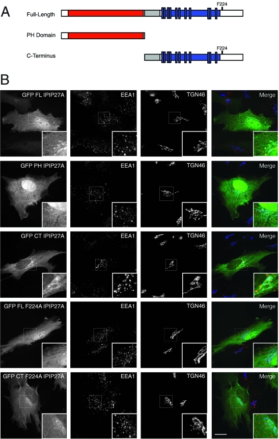 FIGURE 4: