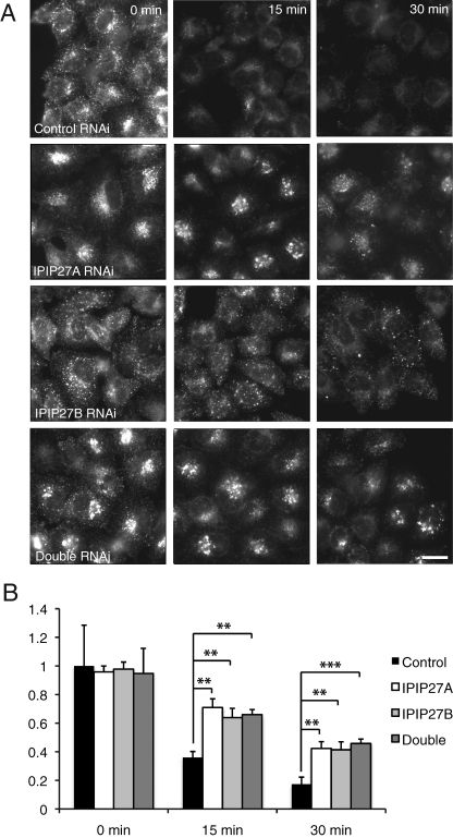 FIGURE 6: