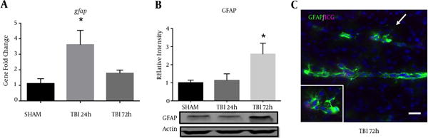 Figure 5